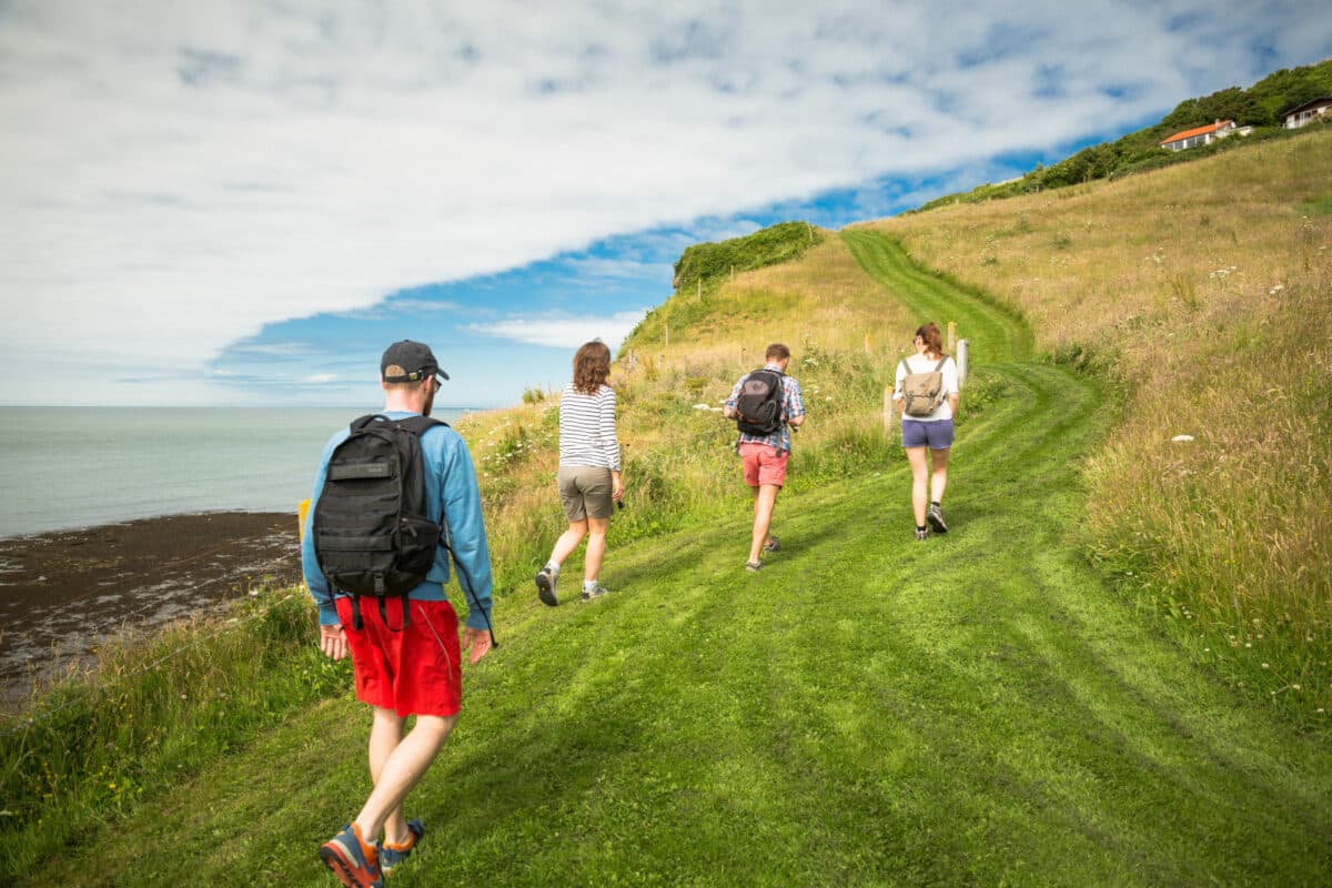 Group of four hikers walking on a grassy trail along the Normandy coastline with cliffs and ocean views.