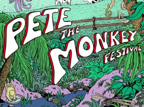 festival pete the monkey